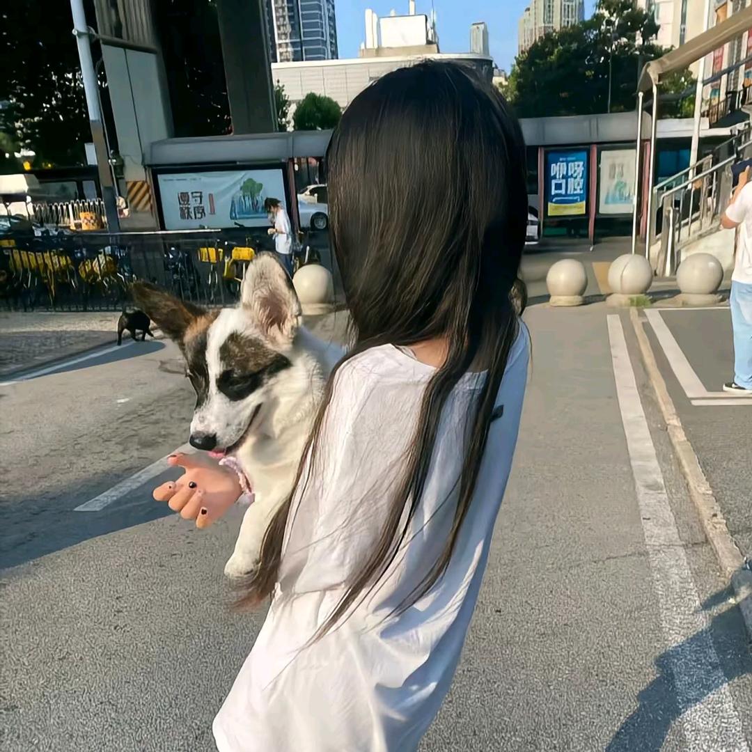 天使的秘密