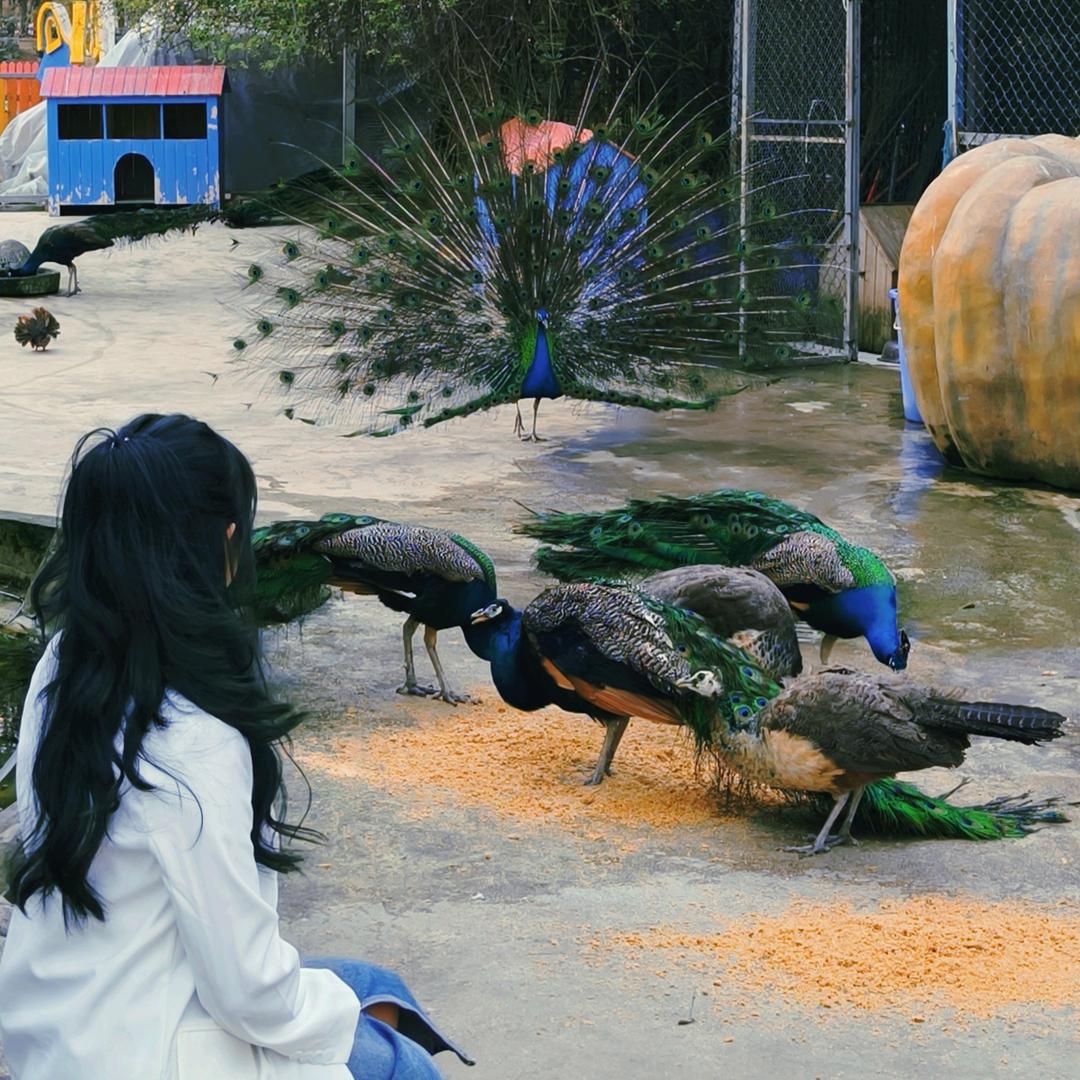 四夕小孩.