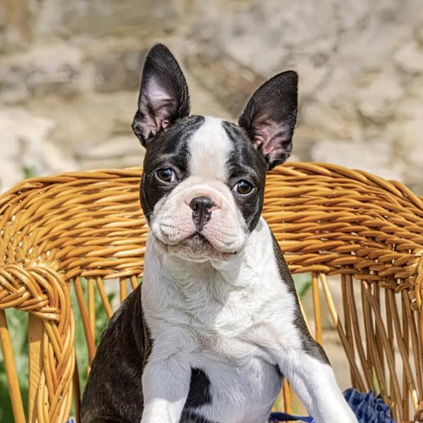 专业混凝土浇筑