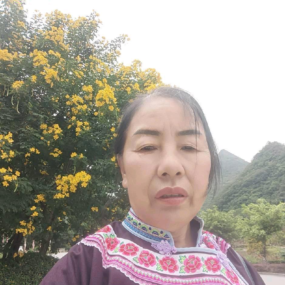 姓杨