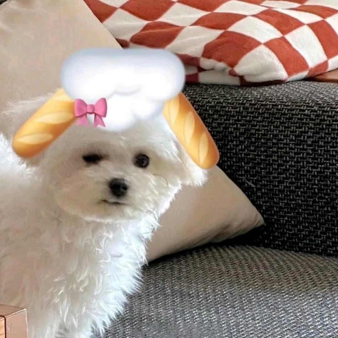 ꒦ິ^꒦ິ.