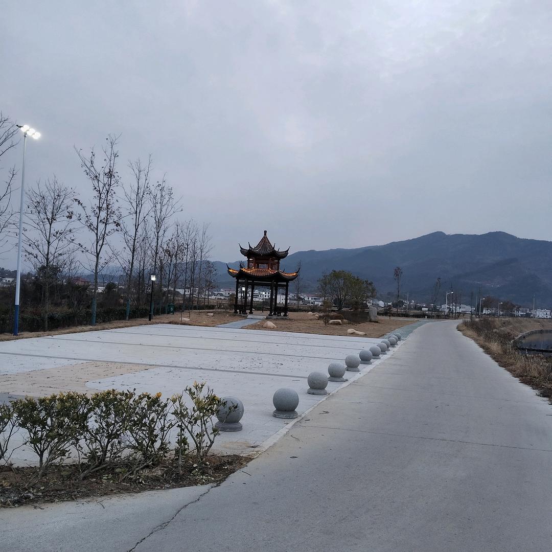 感谢抖音平台