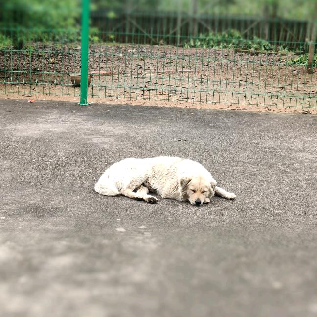 化尘头像
