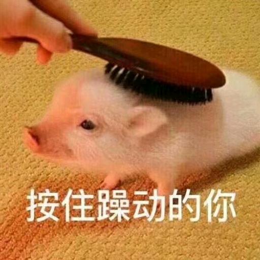 无聊