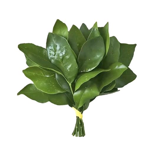 点 点.