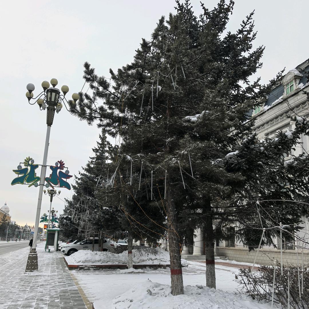 哈尔滨雪