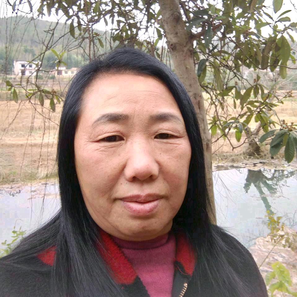 陈ZH
