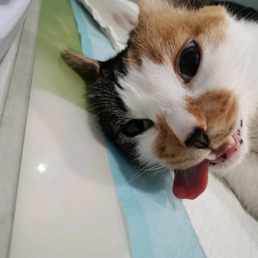 陆上睡