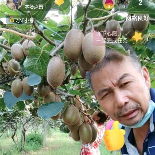 海口美兰吉祥水果店猕猴桃