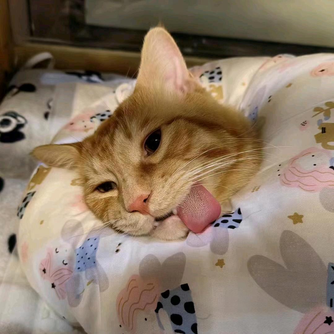 醒醒💜
