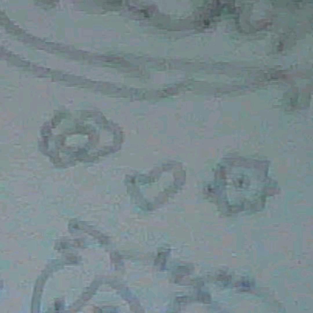 帝国最強伝説と絶兇の猛虎!孙笑川です!