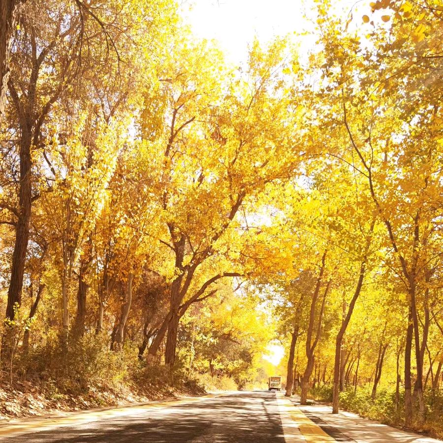 结构化面试一对一