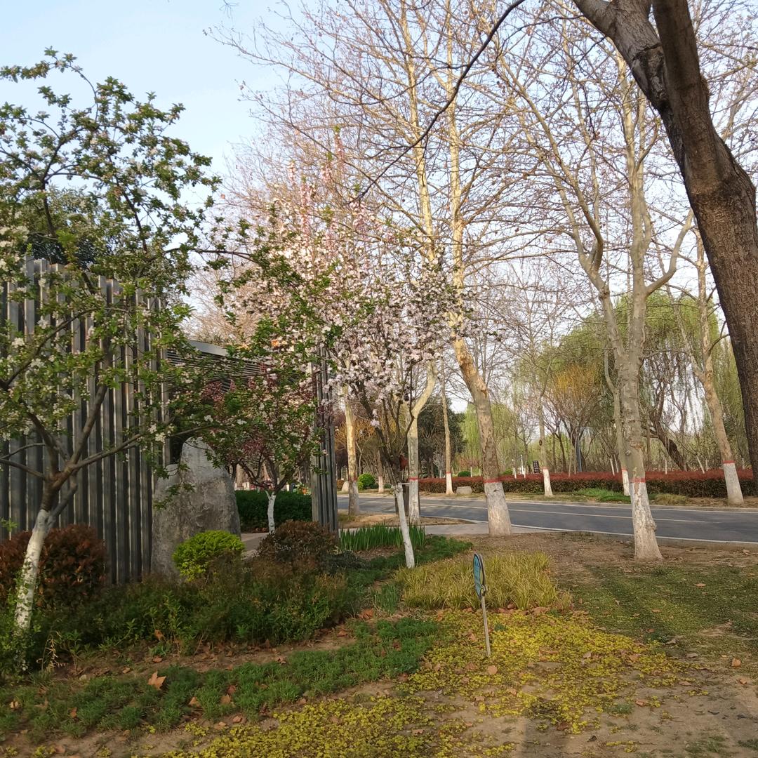 六零后