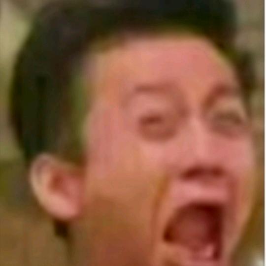 雨林