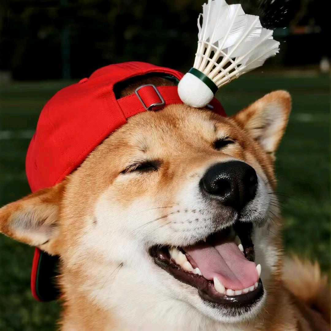 清柠