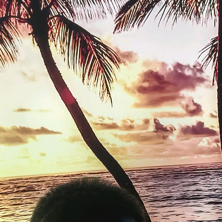 LANXi兰皙面部护肤（竹林姜疗养生馆）