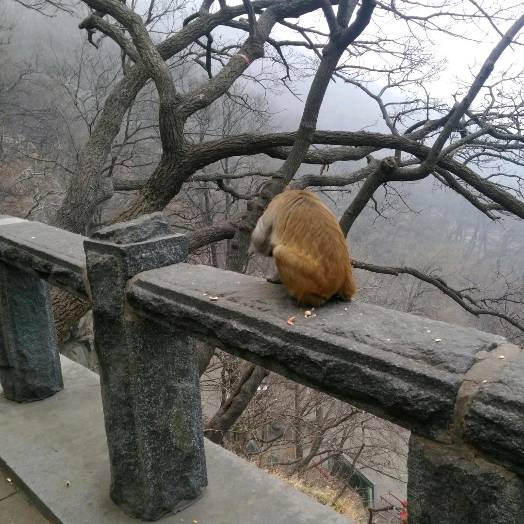 缘份