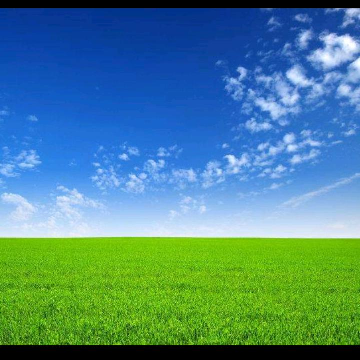 放下所有却放不下你（百顺纸业）