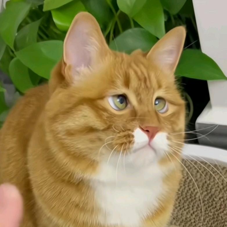 闫师傅高空作业