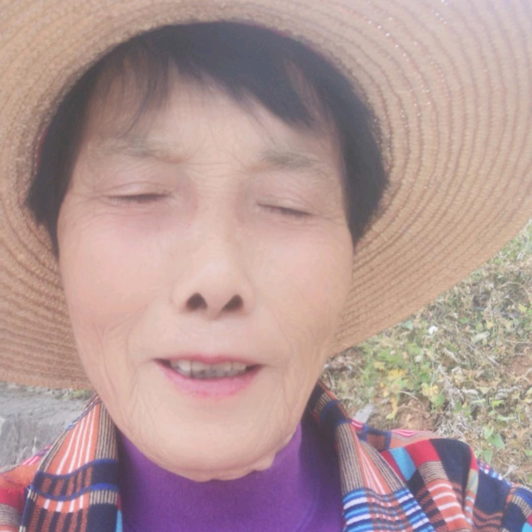 鲜婆婆