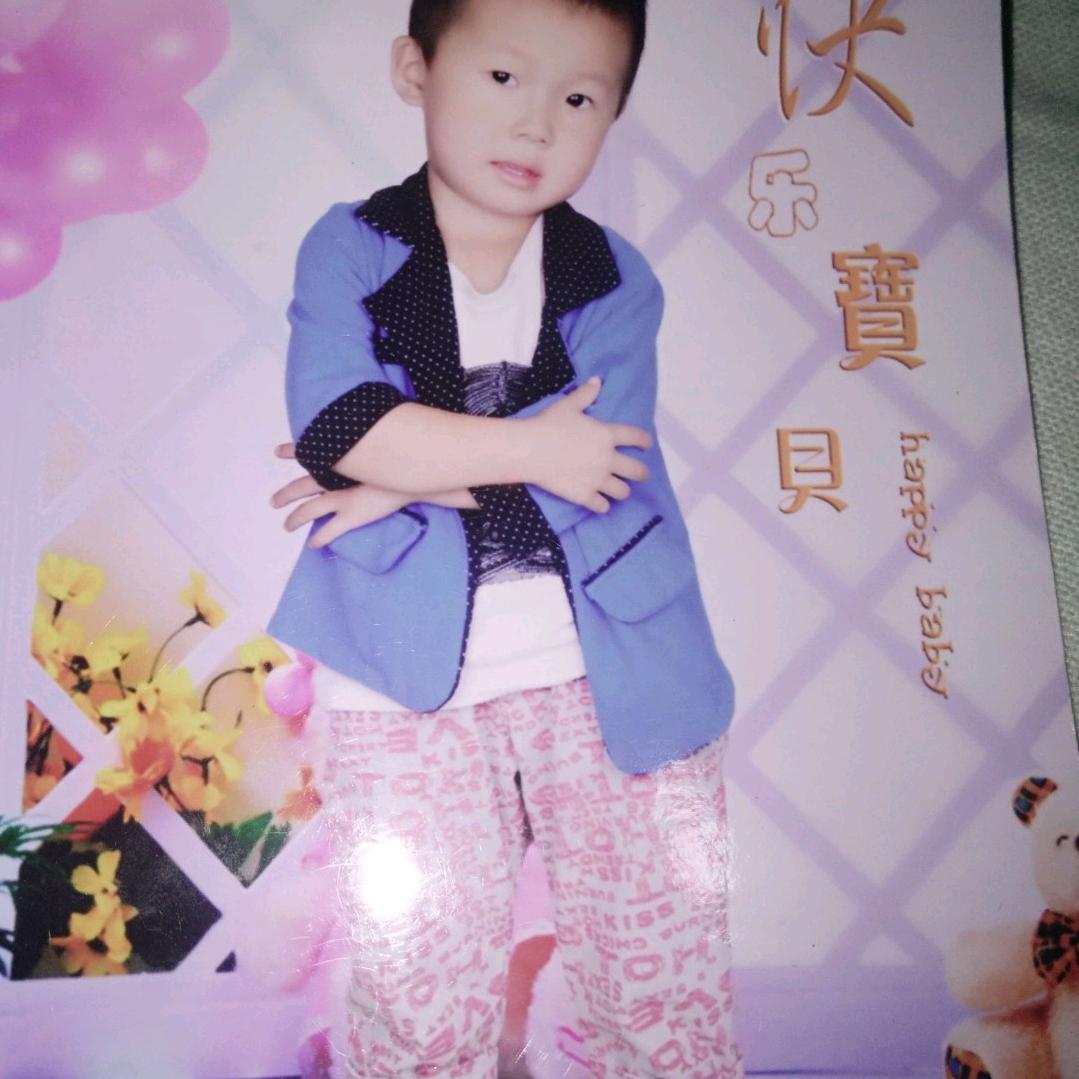 自由如风