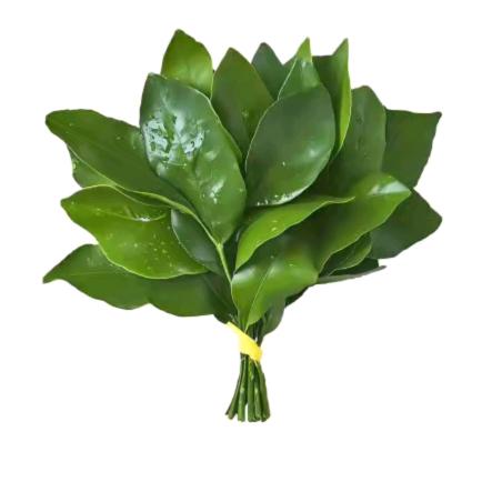 全球好物推荐一号店