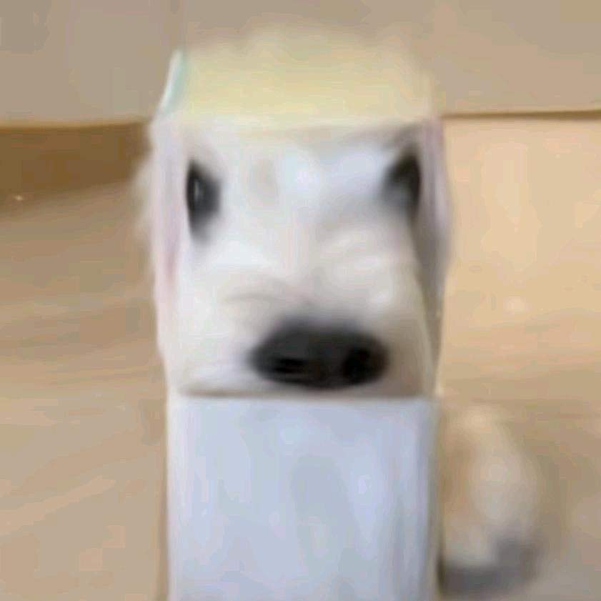 拼多多我问你我幸运在哪