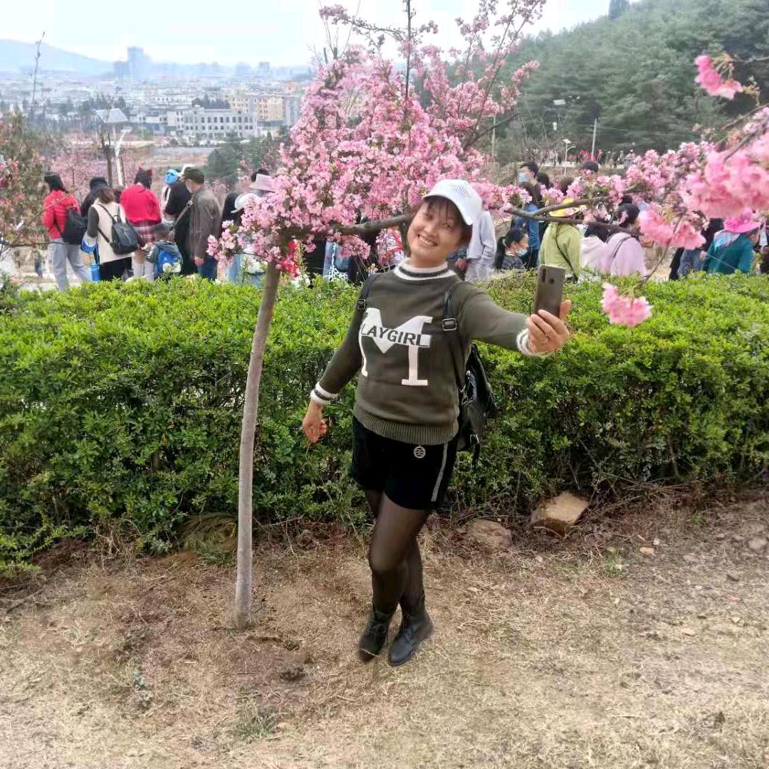 仙