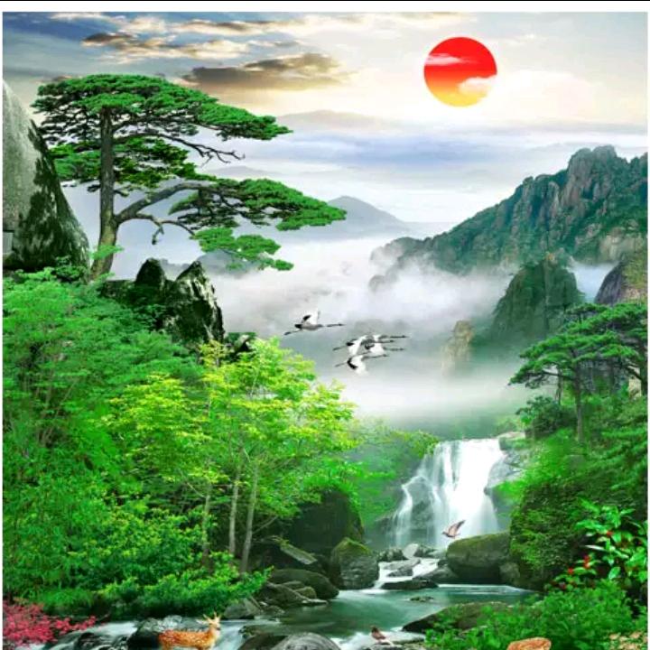 萧淇文