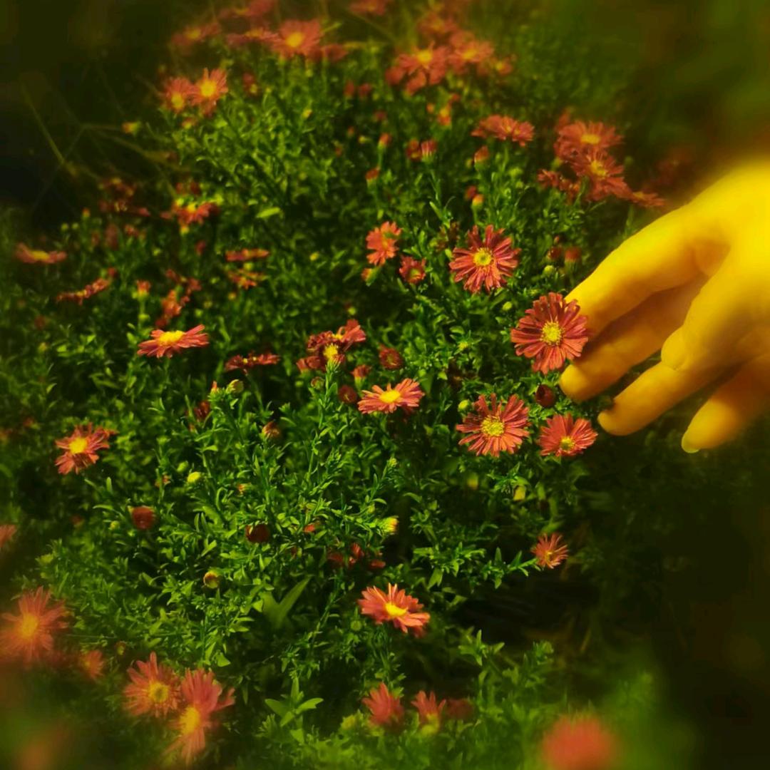 佳乐1依万丽李姐