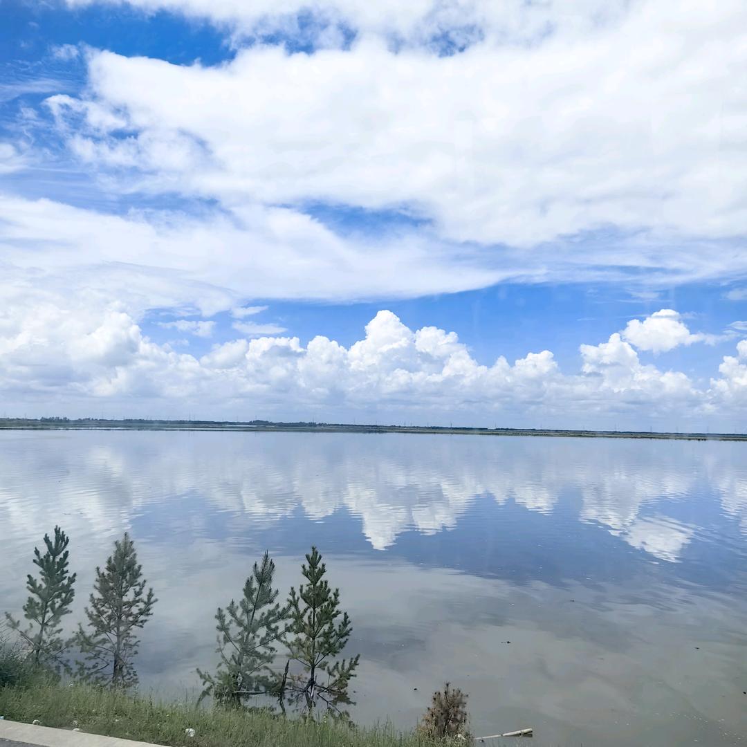 🌈💥像风一样自由💞💖