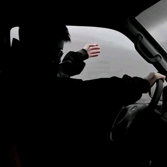 遨游四海求其凰