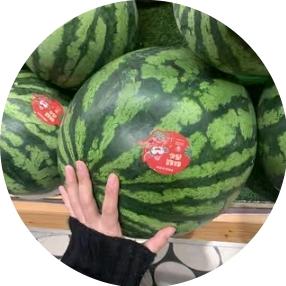 爱吃西瓜🍉