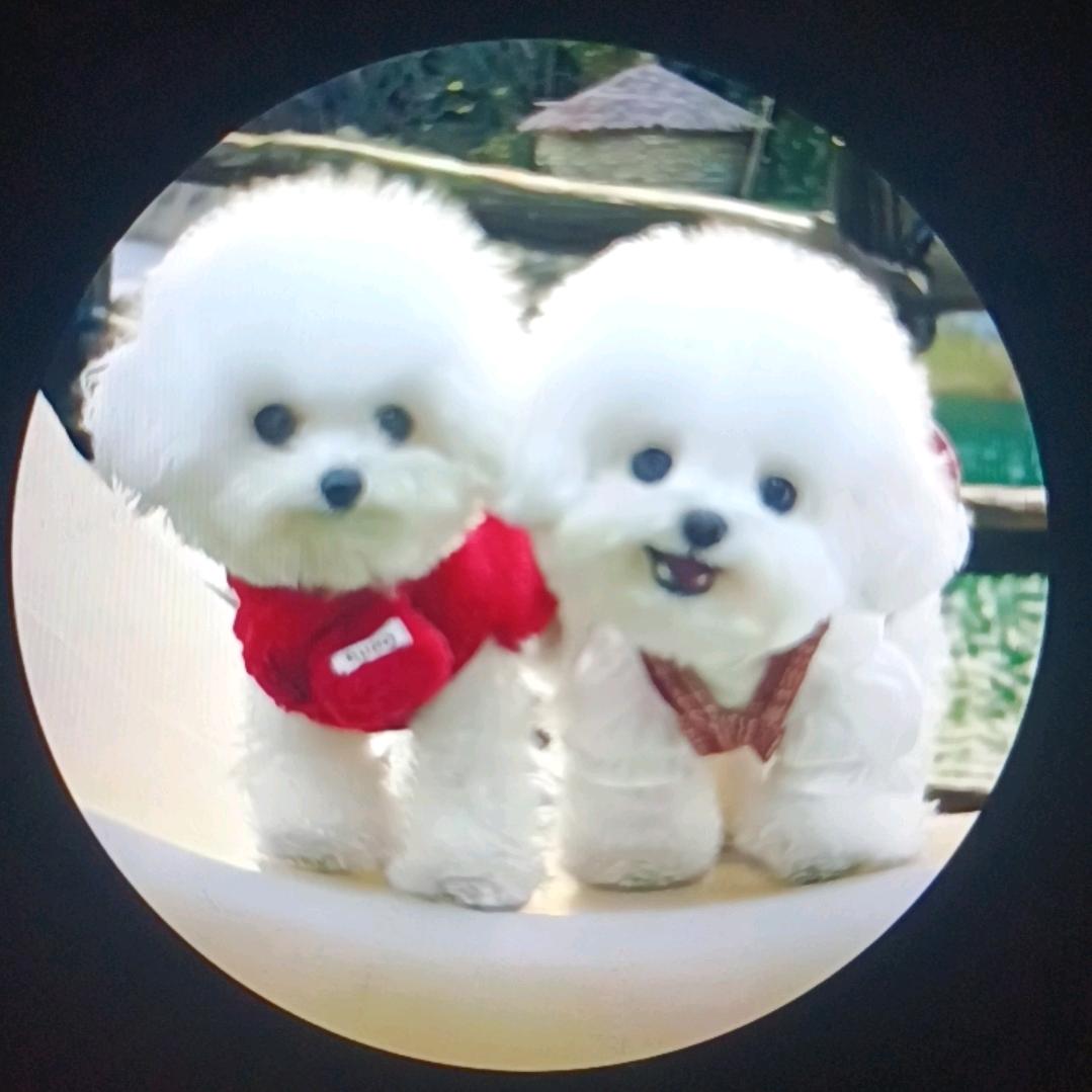 沉睡中的月亮。