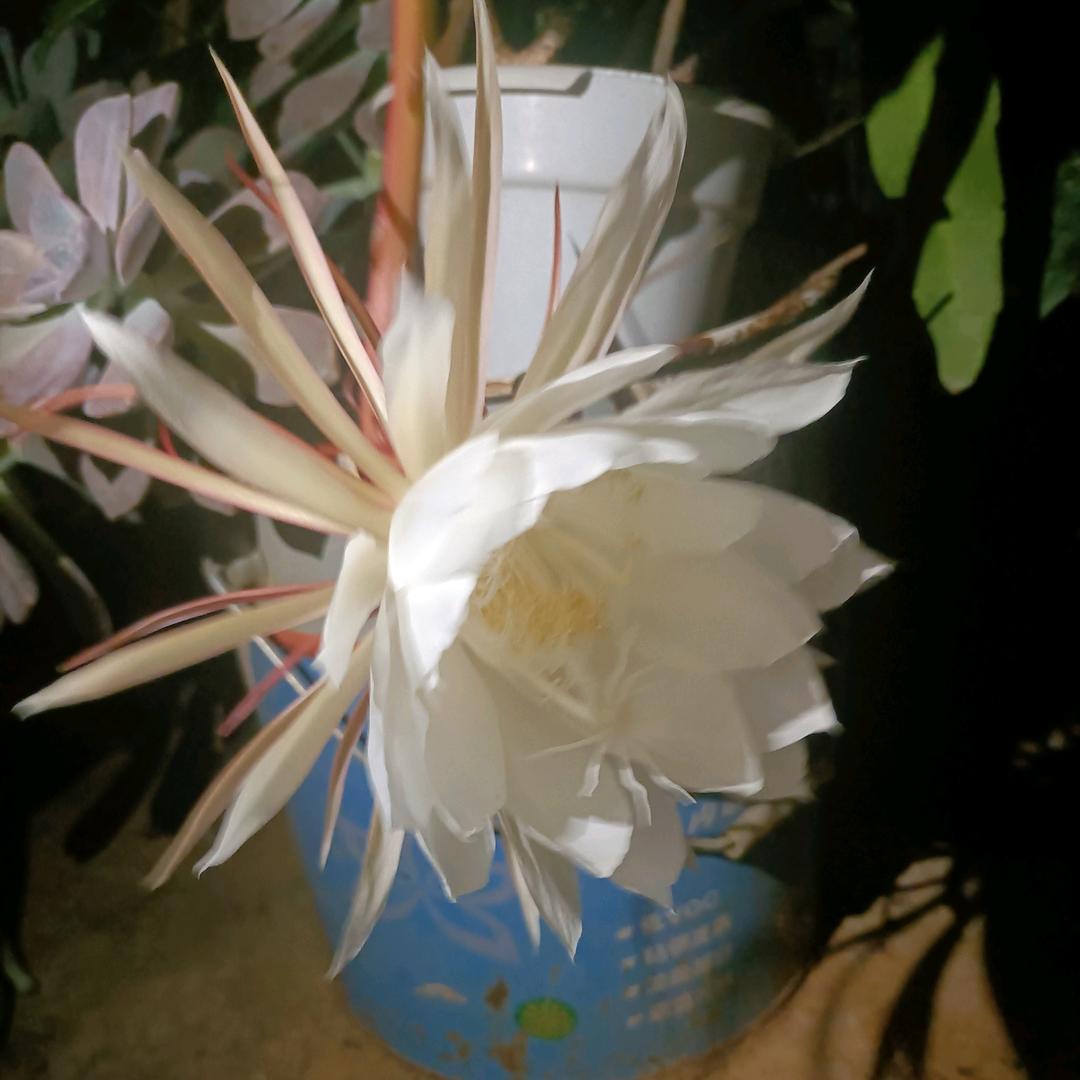 梦里有你（拒绝私聊）