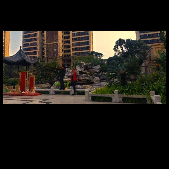 《萍🪷姐》