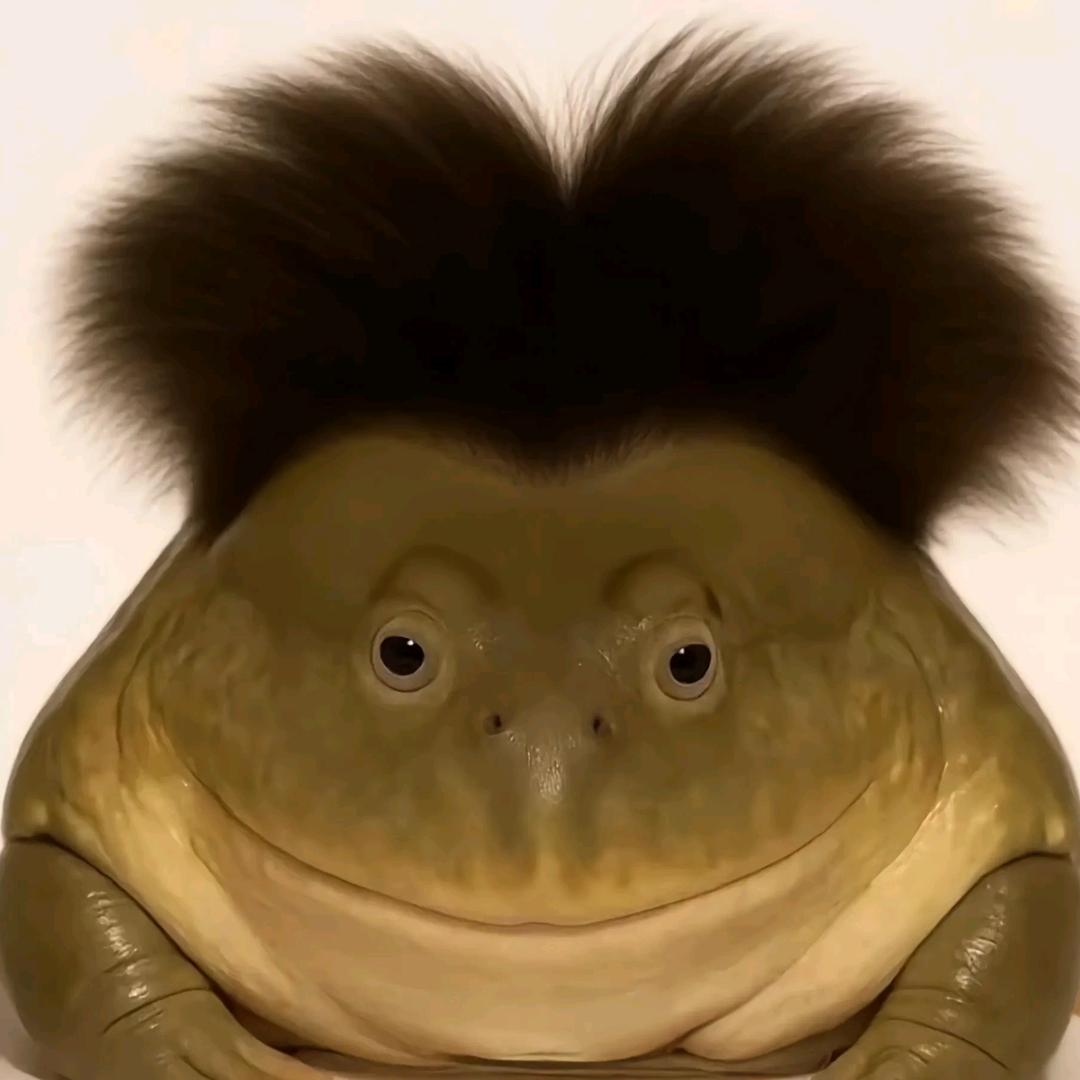 在你眼中我是谁