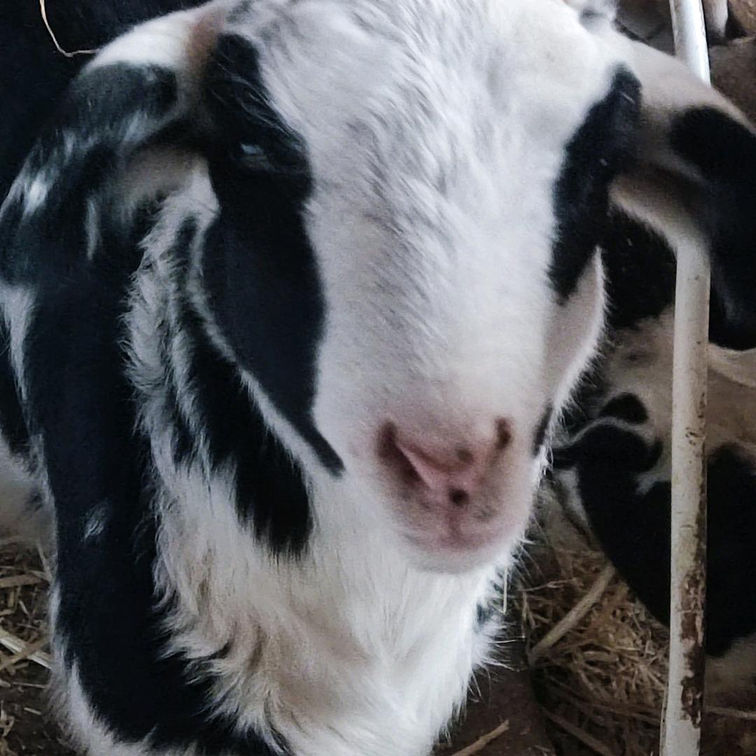 东北人在徐州农村生活