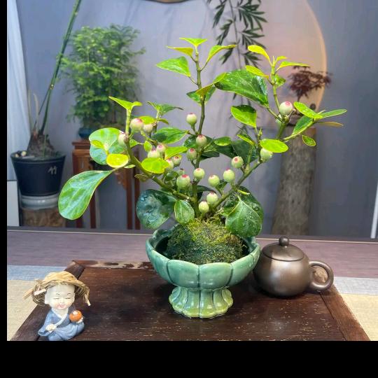 楚雄市煊赫百货店