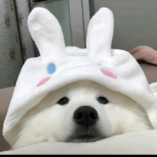 ℳঞ 如 愿 ໌້ᮨ꧔ꦿ᭄💕