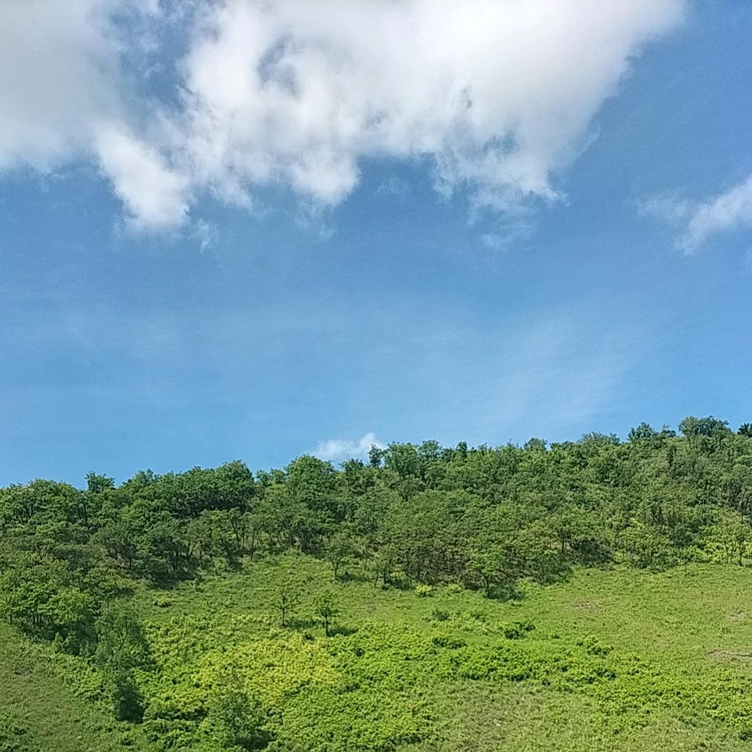 风声水起