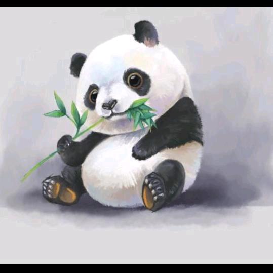 🌻丿老衲法号熊猫