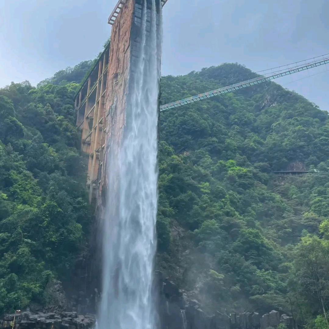 忘事清零￥从头开始