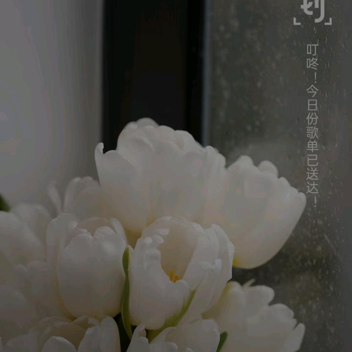 昨天今天明天682