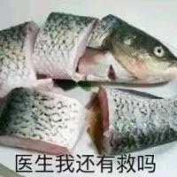 王大茄子