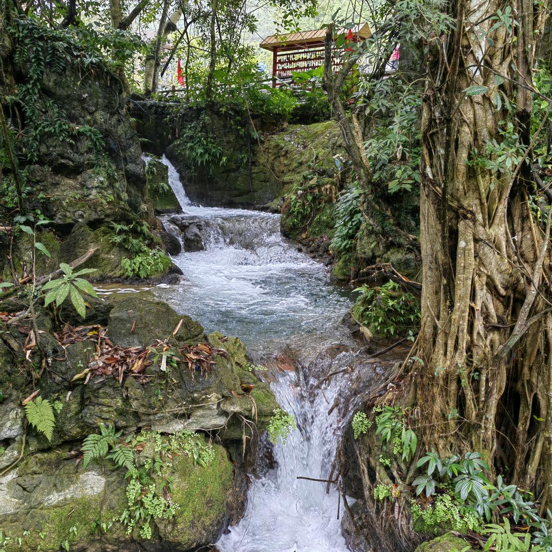 乐在其中（互关）