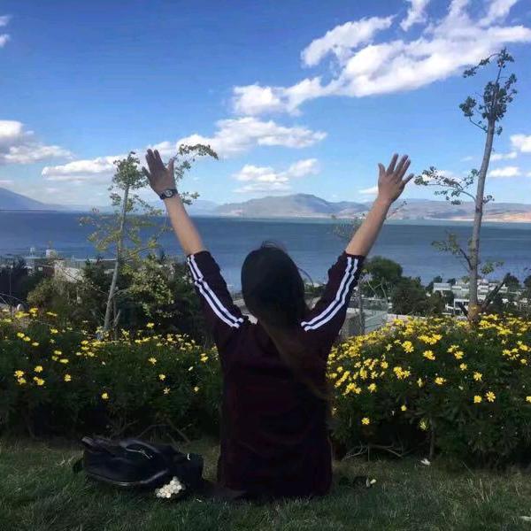 安宁正羽工程机械配件批发