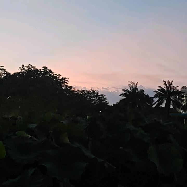 私域改行送外卖