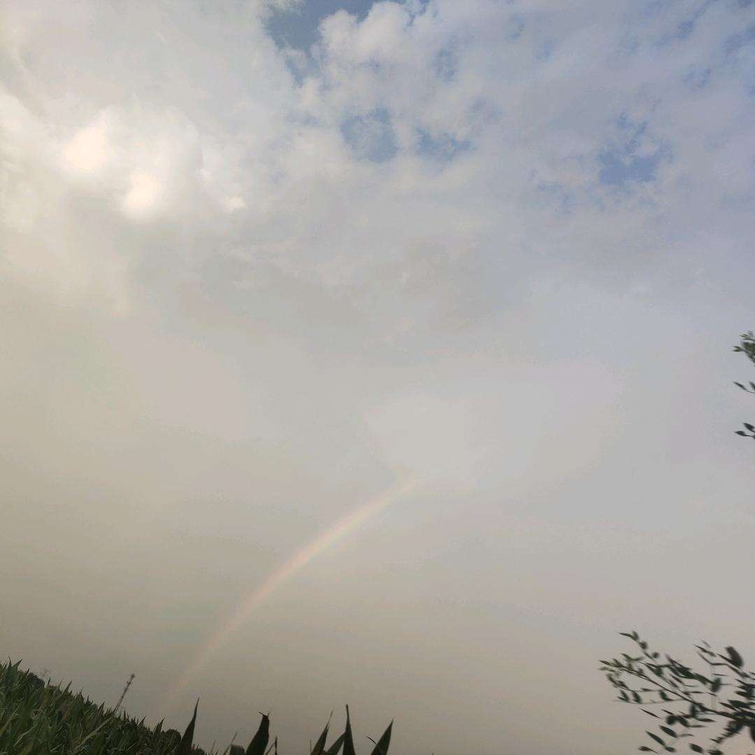 时～ 来～ 运～ 转