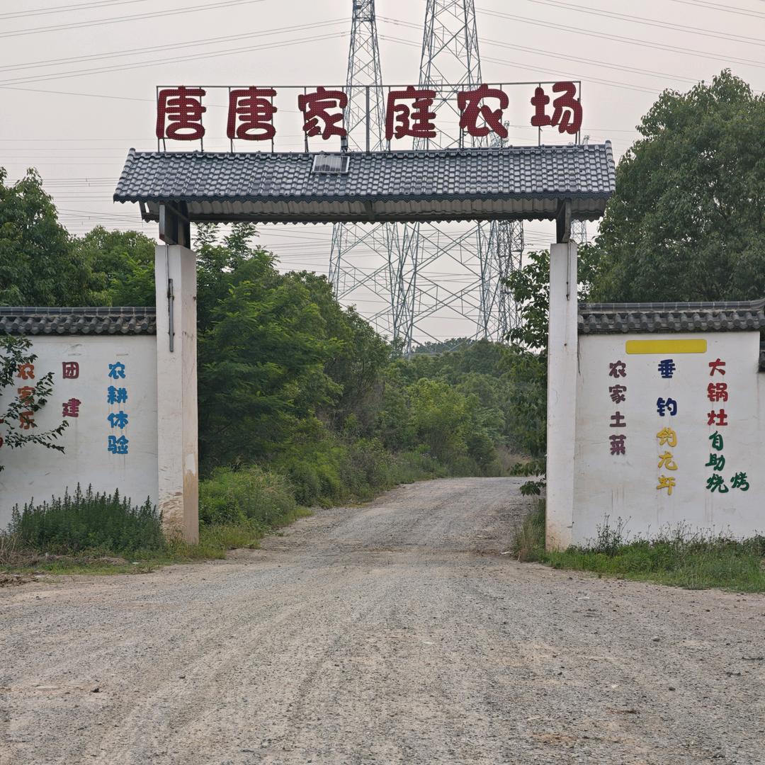 长丰县双墩镇唐唐家庭农场